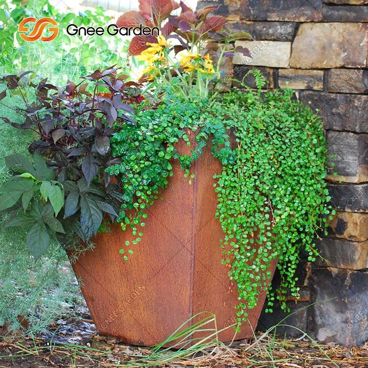 Corten čelične kutije za sadnju