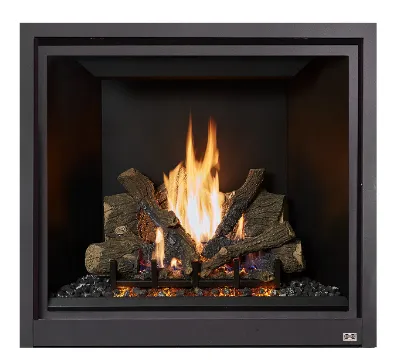 Gas Fireplaces Gas Fireplaces